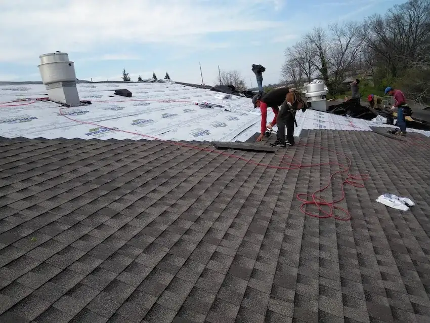 Roof Replacement in Gainesville project photo